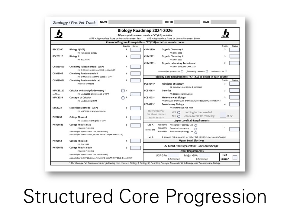 'Core' Requirements PDF page with editable fields, checkboxes, radio boxes, and clear emphasis on prioritizing core foundational courses to keep students on track to graduation.