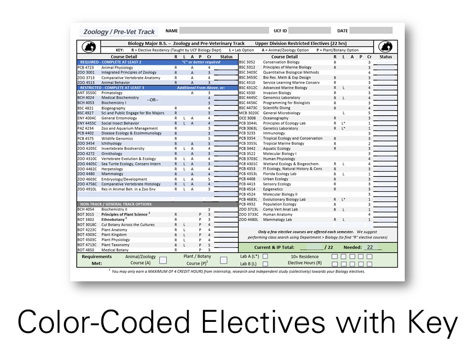 'Elective' Options PDF page with color coding, keys, and visual structuring to provide meaning to an otherwise overwhelming amount of information. 